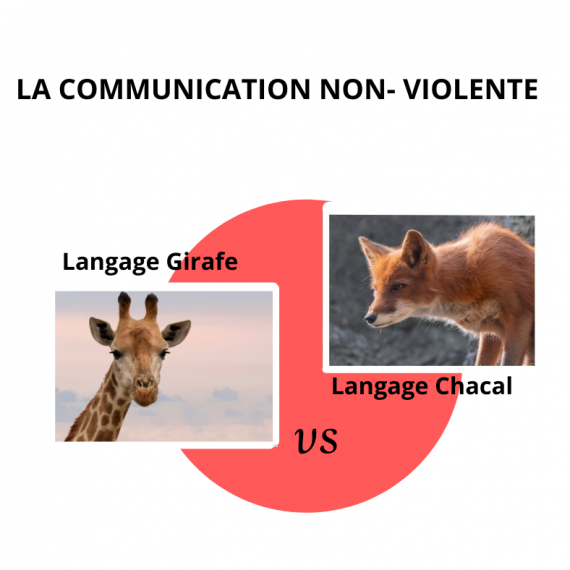 LA COMMUNICATION NON-VIOLENTE